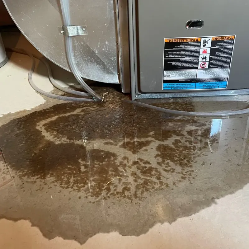 Pipe Burst and Leak Restoration in Graham County, NC