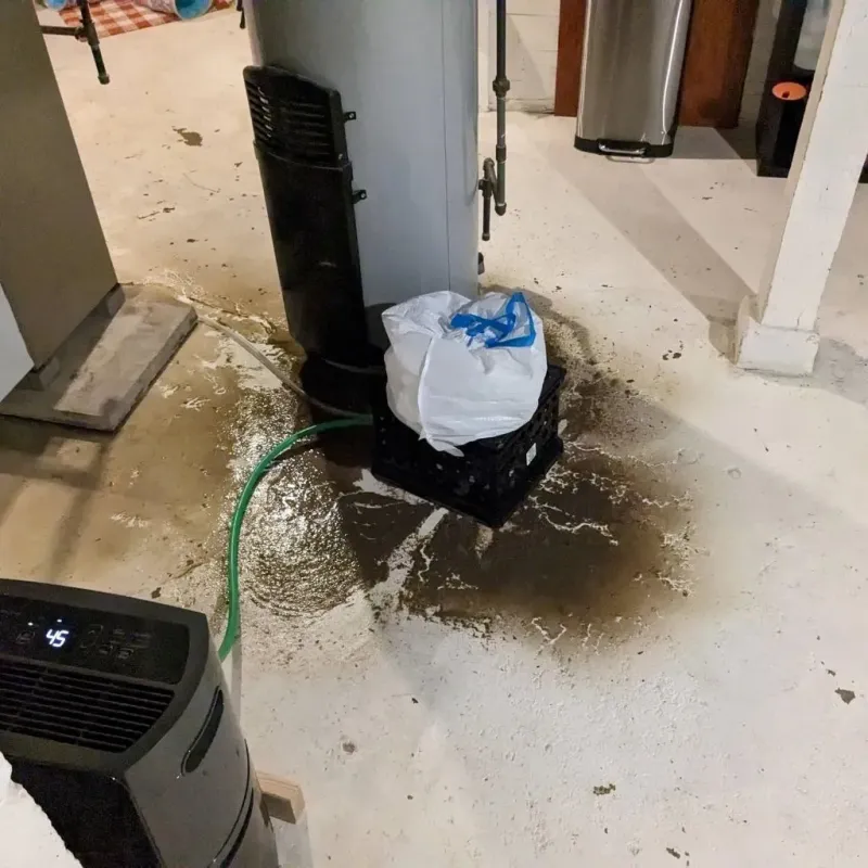 Sewage Backup Cleanup Service in Graham County, NC